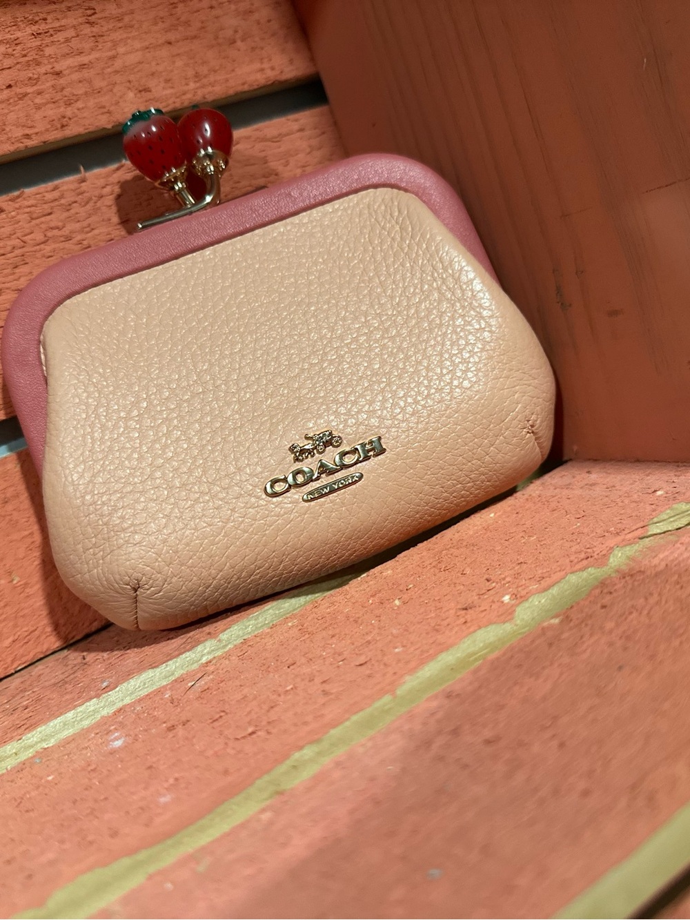 Coach Strawberry Kisslock Pouch